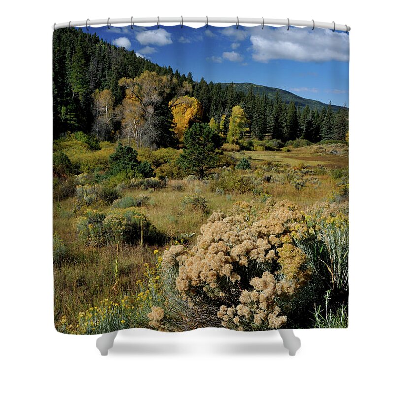 Landscape Shower Curtain featuring the photograph Autumn Morning In The Canyon by Ron Cline