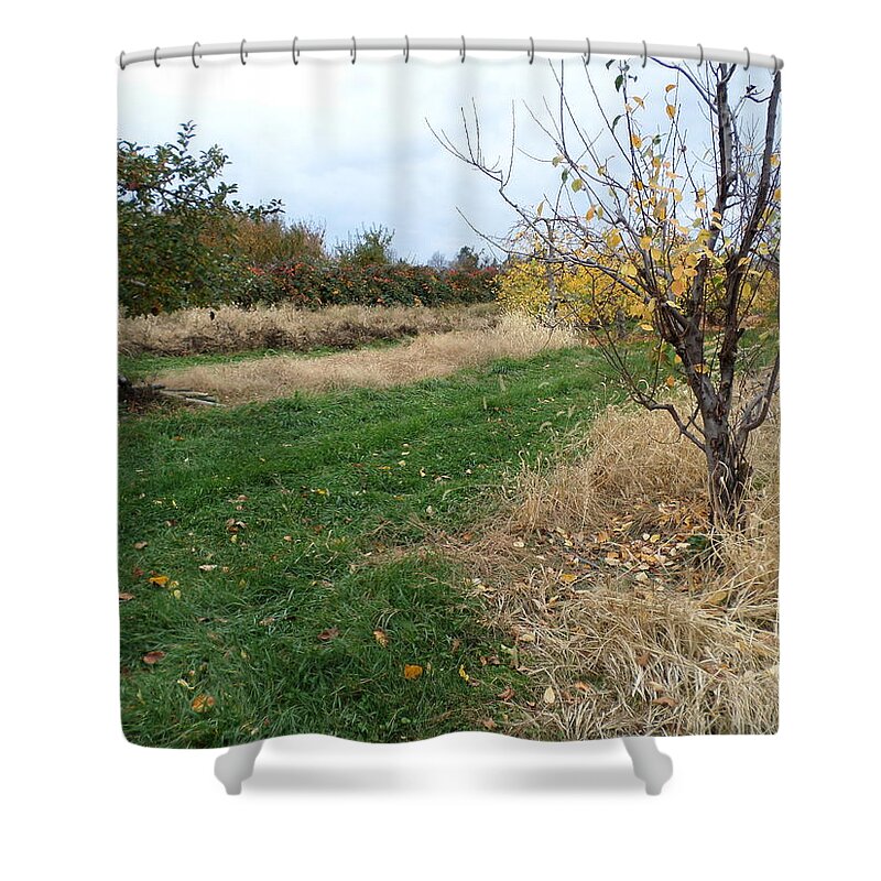 Orchard Shower Curtains