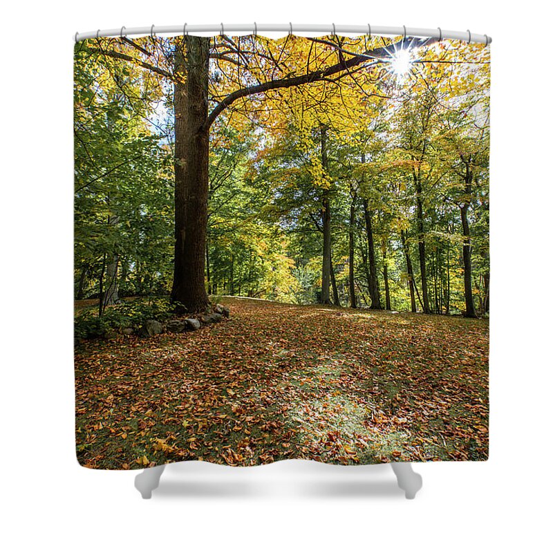 Michigan Shower Curtain featuring the photograph Autumn Park by John McGraw