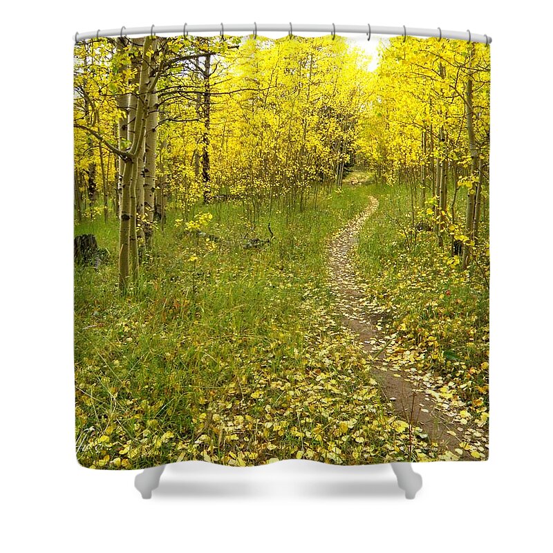 Colorado Rockymountains Autumn Golden Leaves Path Hike Walk Aspen Shower Curtain featuring the photograph Autumn path by George Tuffy