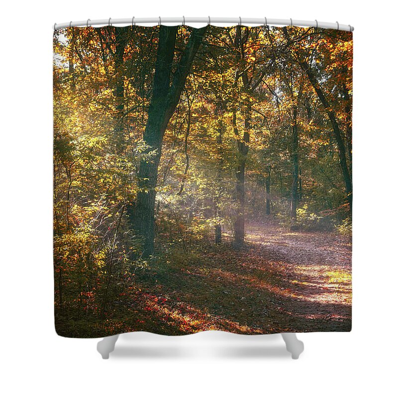 Autumn Shower Curtain featuring the photograph Autumn Path by Scott Norris