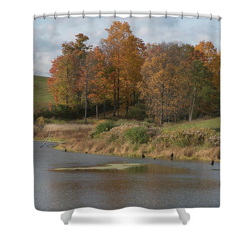 Pond Shower Curtain featuring the photograph Autumn Pond by Joshua House