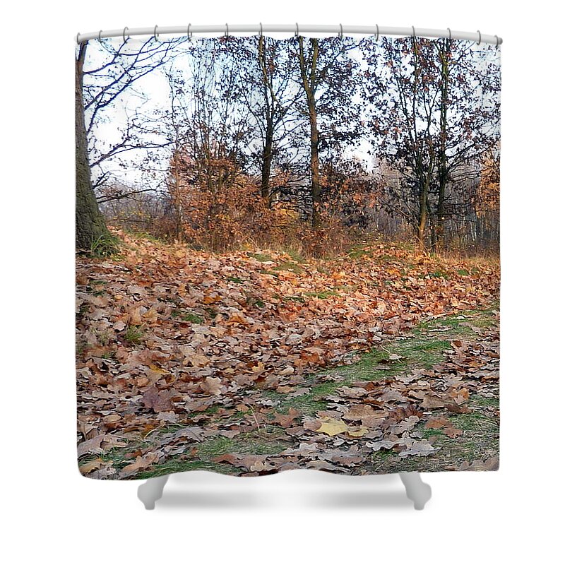 Autumn Shower Curtain featuring the photograph Autumn road by Lukasz Ryszka