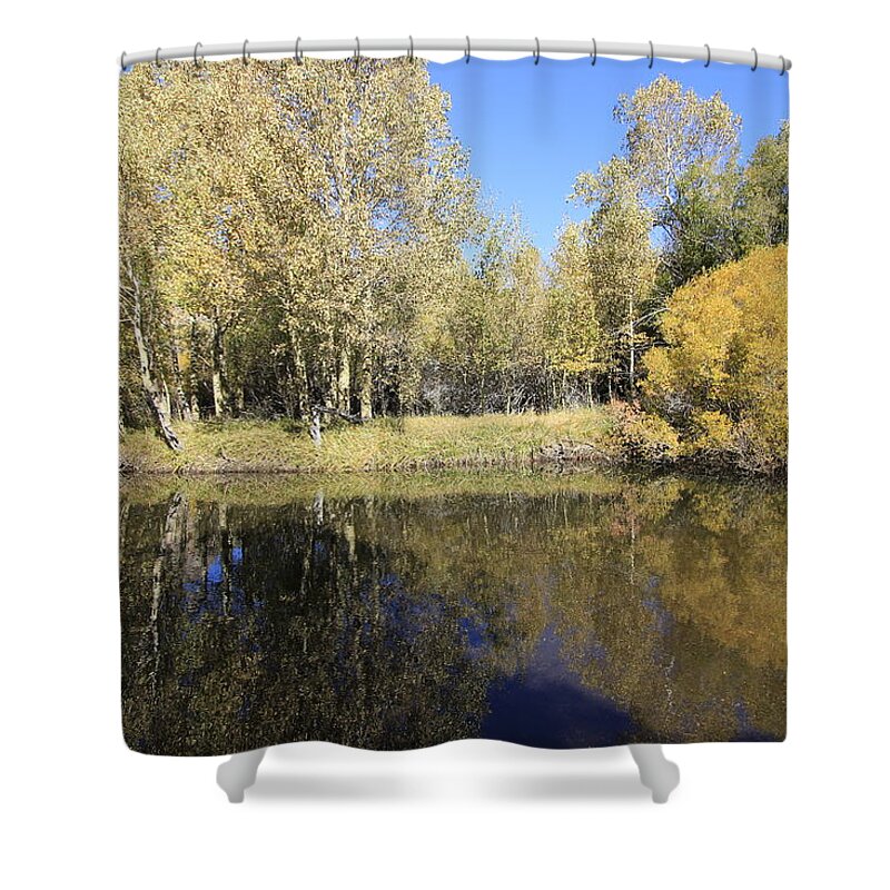 Mono County Shower Curtain featuring the photograph Autumn Rush Creek by Sean Sarsfield