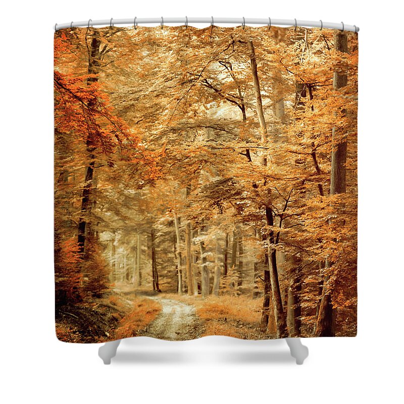 Forest Shower Curtain featuring the photograph Autumn Secret by Philippe Sainte-Laudy