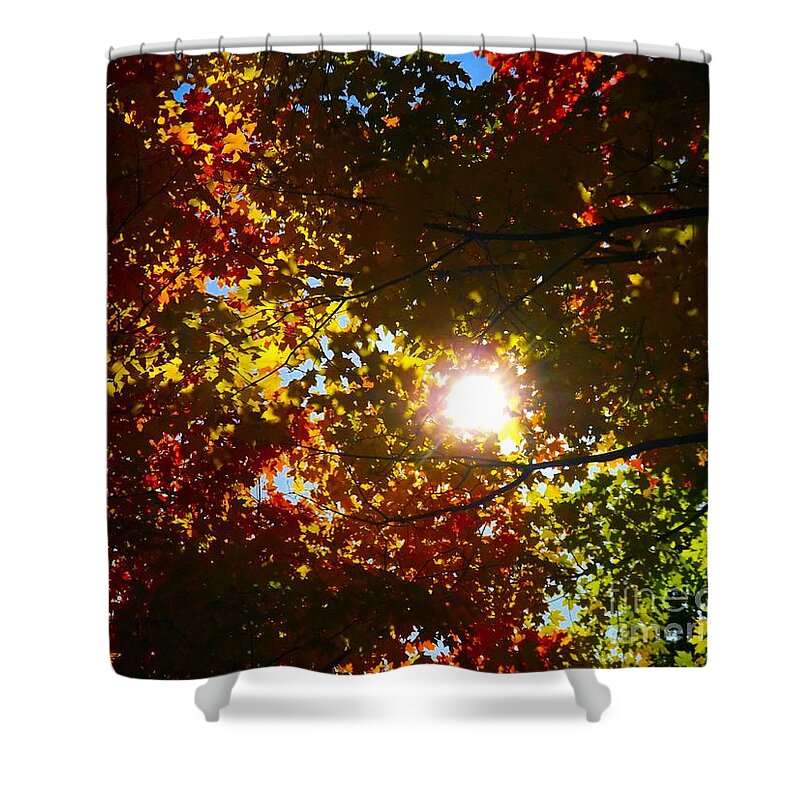 Abstract Shower Curtain featuring the photograph Autumn Sky by Robyn King