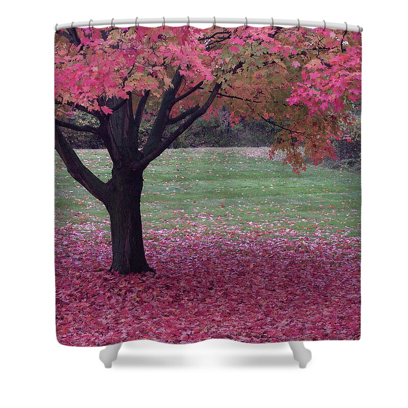 Cleveland Shower Curtain featuring the photograph Autumn by Stewart Helberg