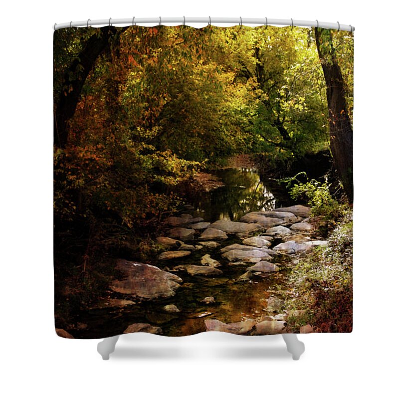 Autumn Stream Shower Curtain featuring the photograph Autumn Stream 6163 H_2 by Steven Ward