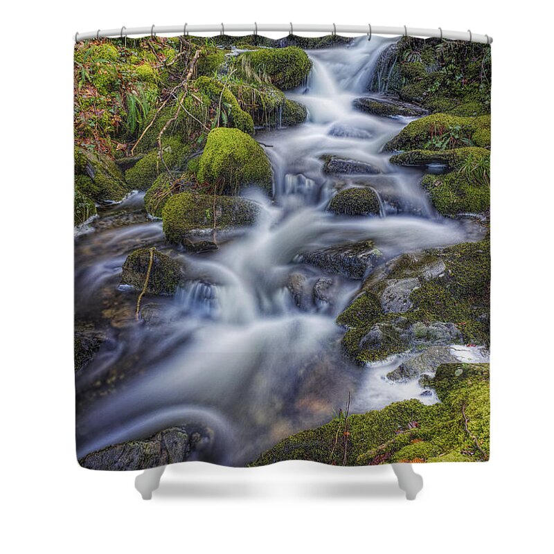 Stream Shower Curtain featuring the photograph Autumn Stream by Ian Mitchell