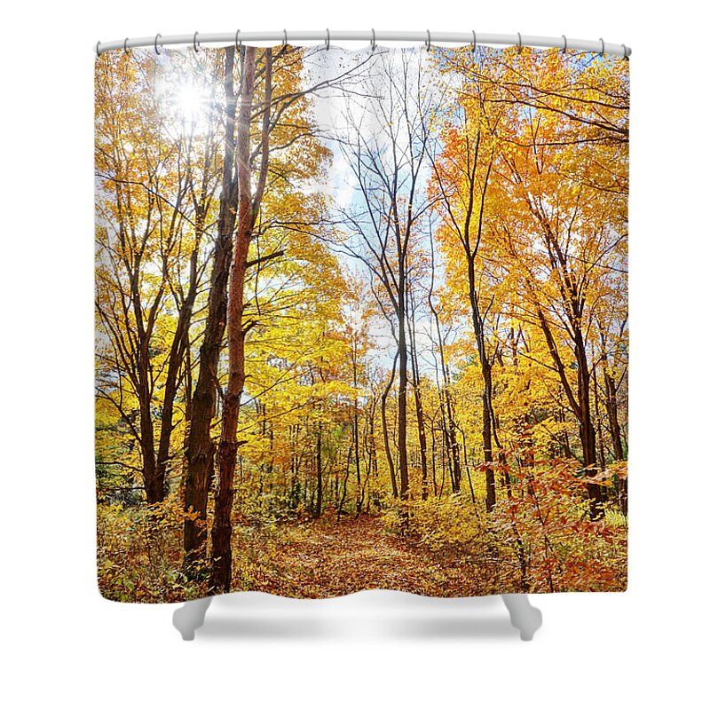 Walk Shower Curtain featuring the photograph Autumn Stroll by Kathi Mirto