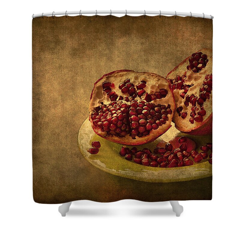 Pom Shower Curtain featuring the photograph Autumn Treat by Evelina Kremsdorf