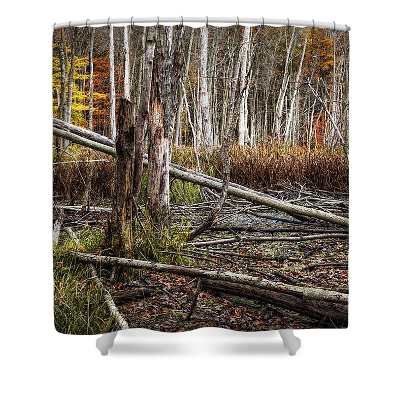 Marsh Shower Curtain featuring the photograph Autumn Woodland Marsh Scene by Randall Nyhof