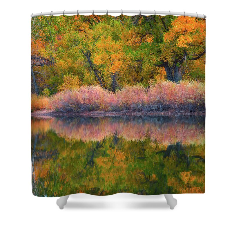 Fall Colors Shower Curtain featuring the photograph Autumn's Color Palette by Darren White