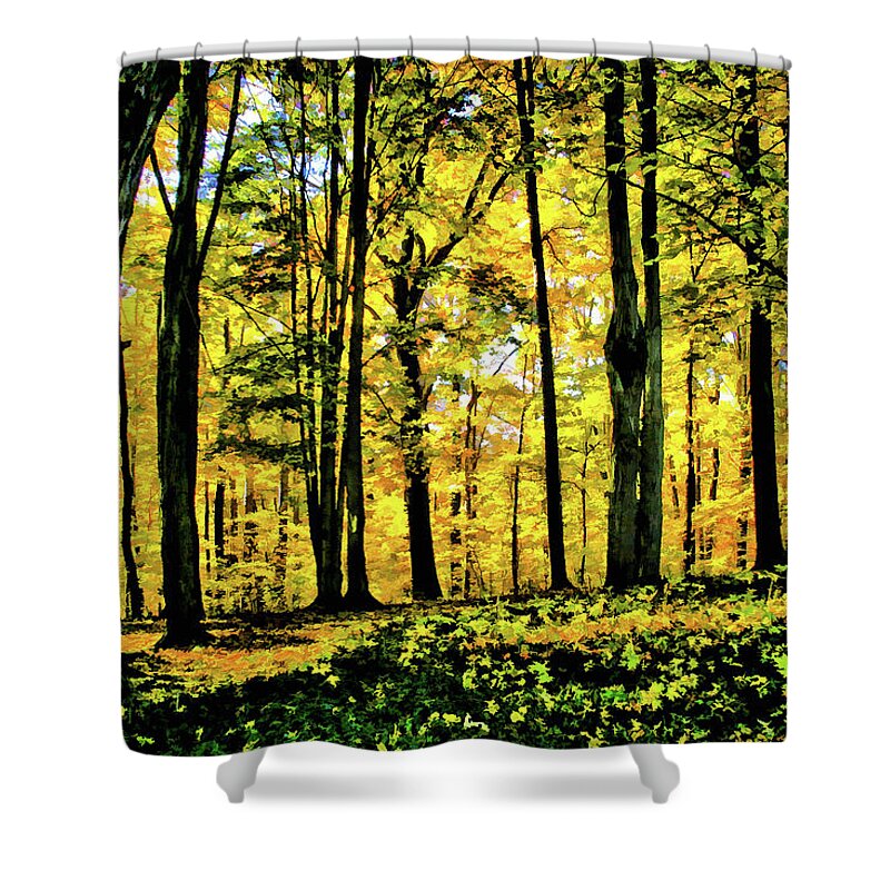 Autumn Shower Curtain featuring the photograph Autumn's Glow by Monroe Payne