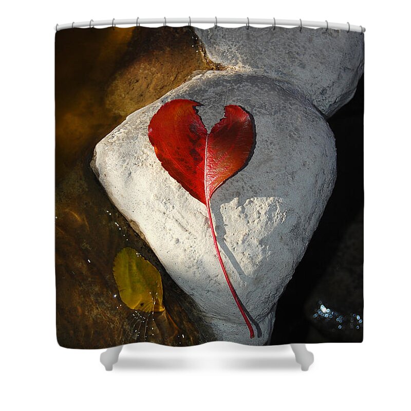 Heart Shower Curtain featuring the photograph Autumn's Love and Serenity by Debra Thompson