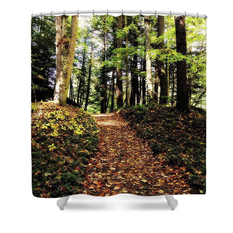Fall Shower Curtain featuring the photograph Autumn's Trail by Trina Ansel