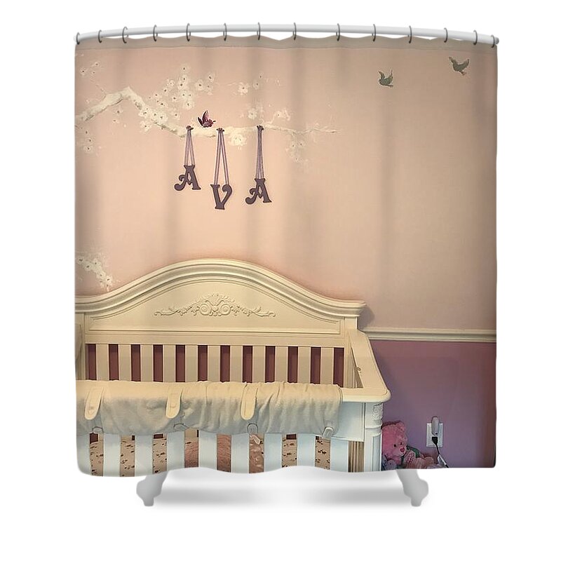 Mural For Girls Room Shower Curtain featuring the painting Avas room by Laura Lee Zanghetti