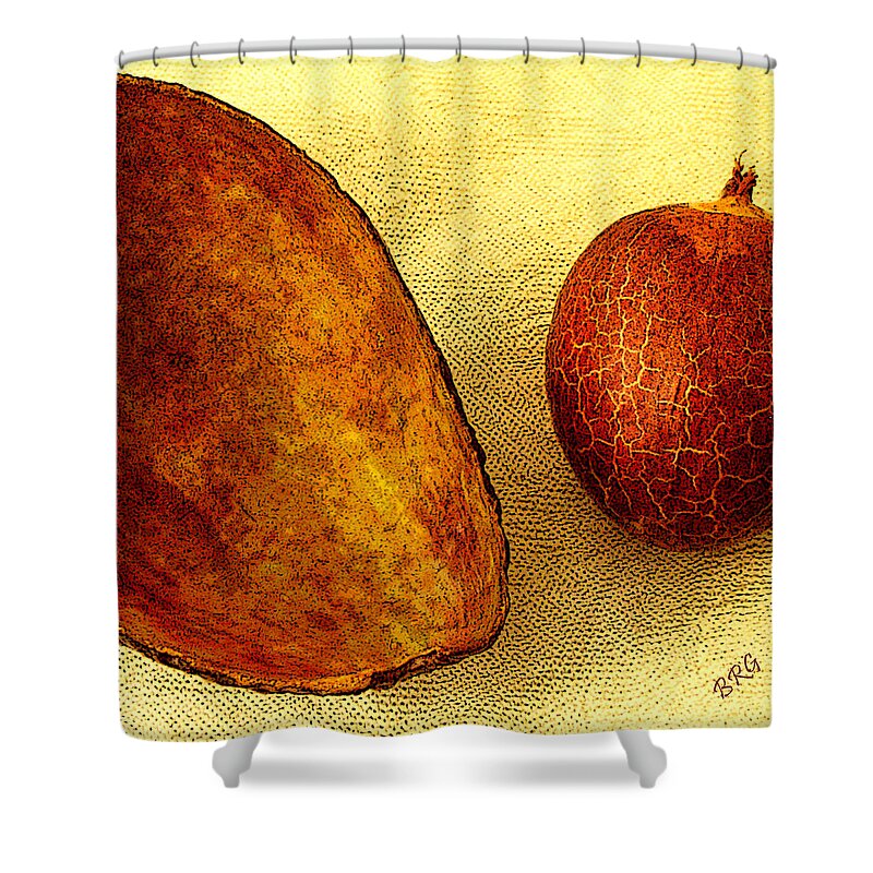 Fruit Shower Curtain featuring the photograph Avocado Seed And Skin II by Ben and Raisa Gertsberg