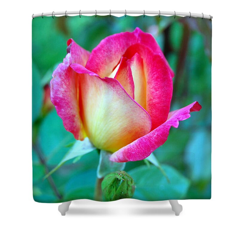 Floral Shower Curtain featuring the photograph Awakening by Emerita Wheeling