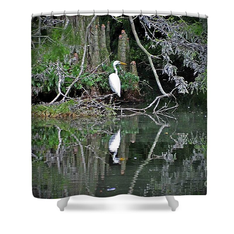 Wildlife Shower Curtain featuring the photograph Away From The Crowd by Lydia Holly