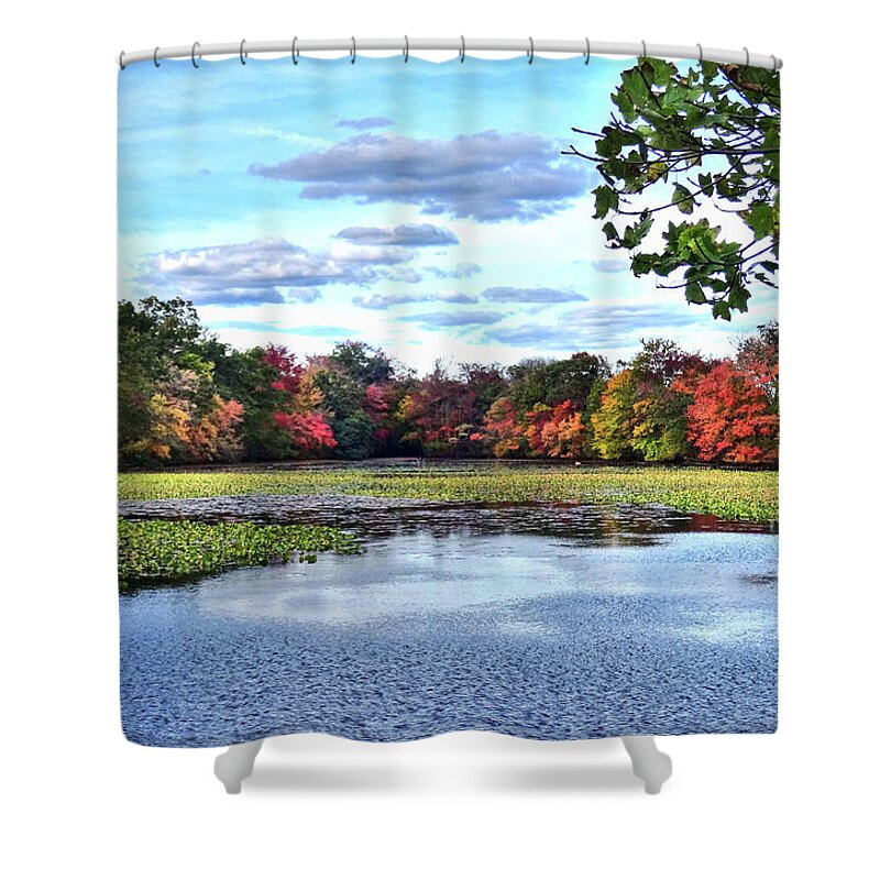 Nature Shower Curtain featuring the photograph Awesome Autumn by Mikki Cucuzzo