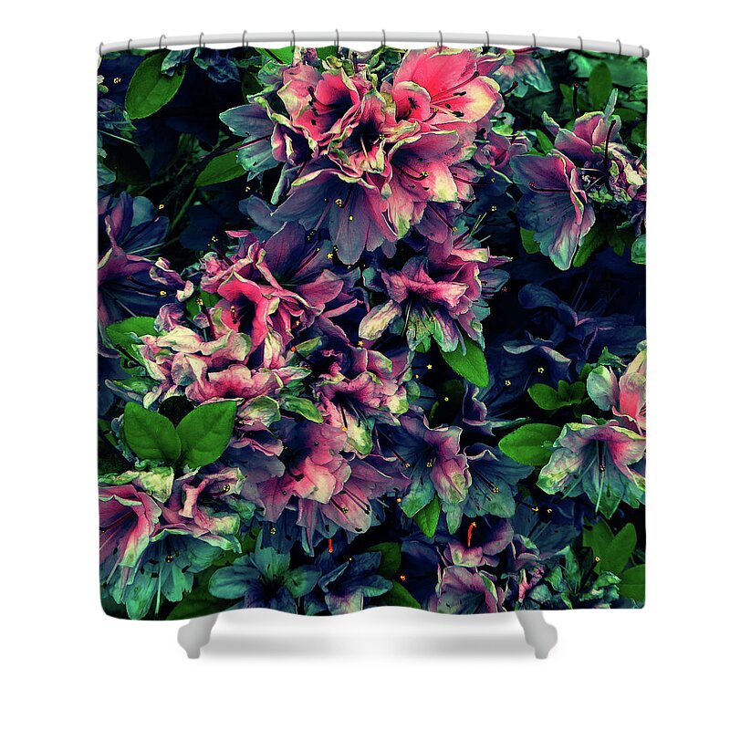 Red Azalea Pink Full Bloom Yellow Touch Contrast Hue Tint Blue Reversal Color Spring 2016 Shower Curtain featuring the photograph Azalea by Leon deVose