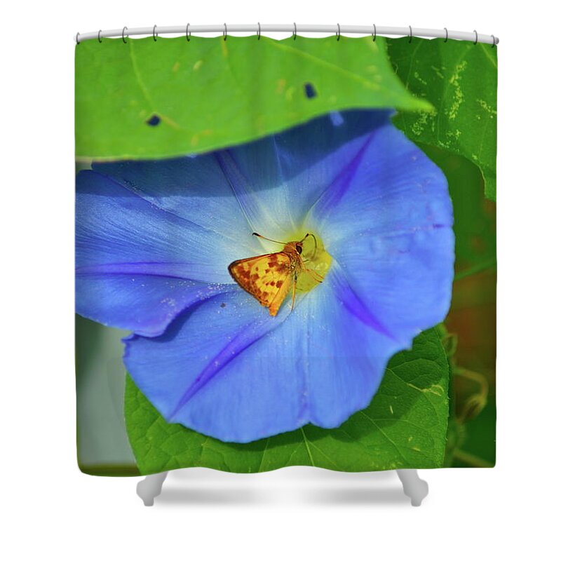 Flower Shower Curtain featuring the photograph Azure Morning Glory by Henri Irizarri