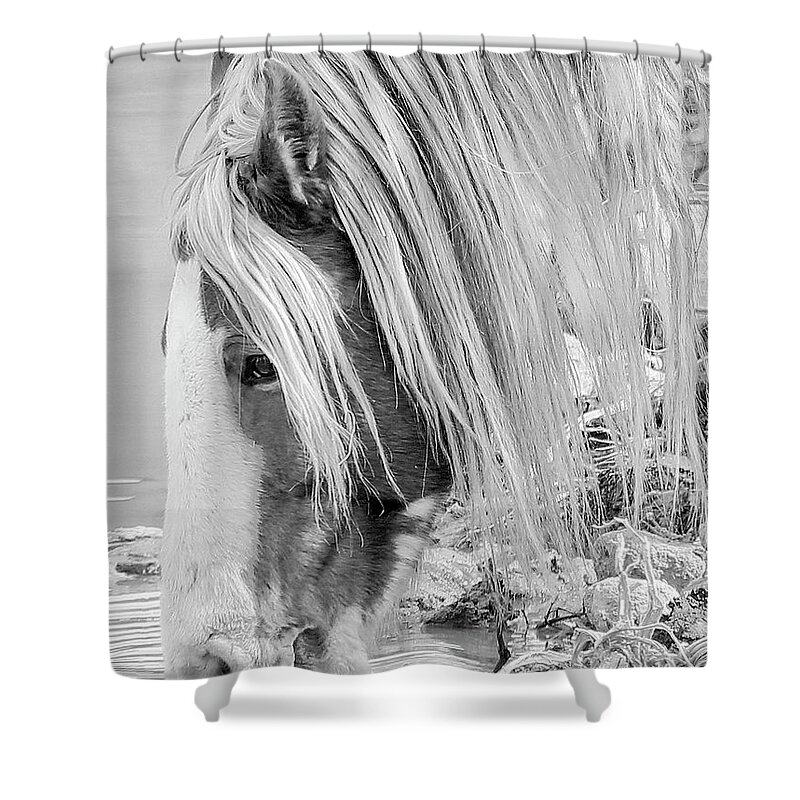  Shower Curtain featuring the photograph B/W Mustang by John T Humphrey