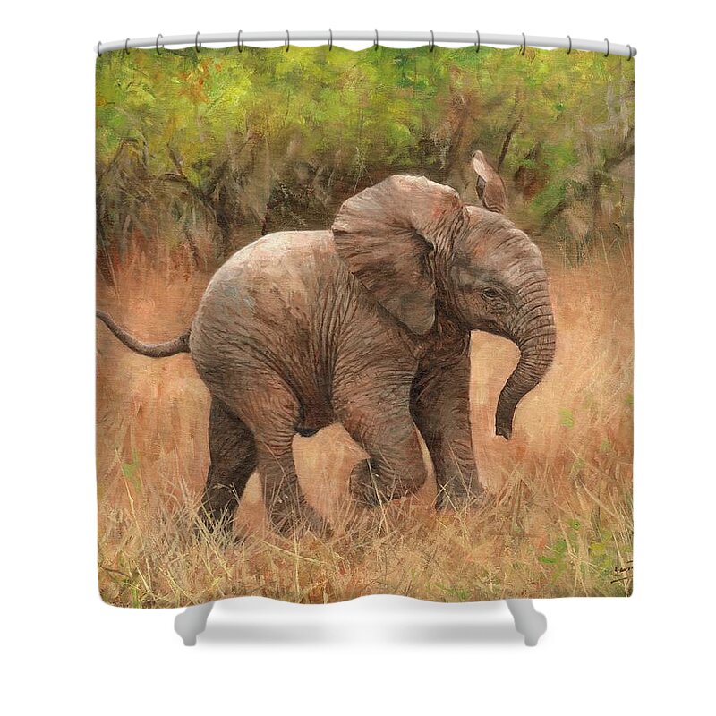Elephant Shower Curtain featuring the painting Baby African Elelphant by David Stribbling