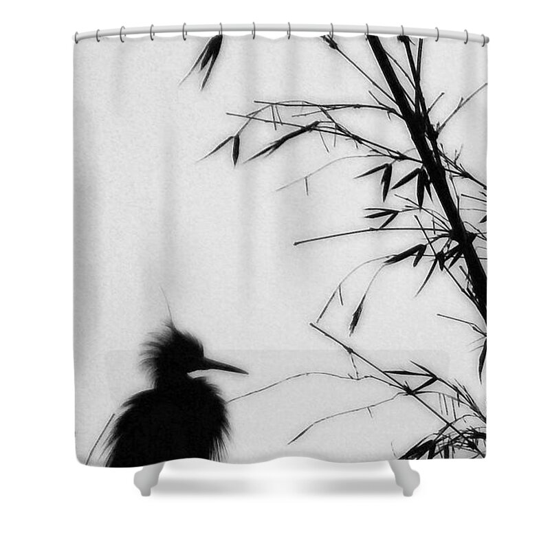 Egret Shower Curtain featuring the photograph Baby Egret Waits by Linda Shafer