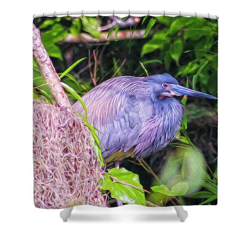 Nature Shower Curtain featuring the digital art Baby Great Blue Heron - TWO by DB Hayes