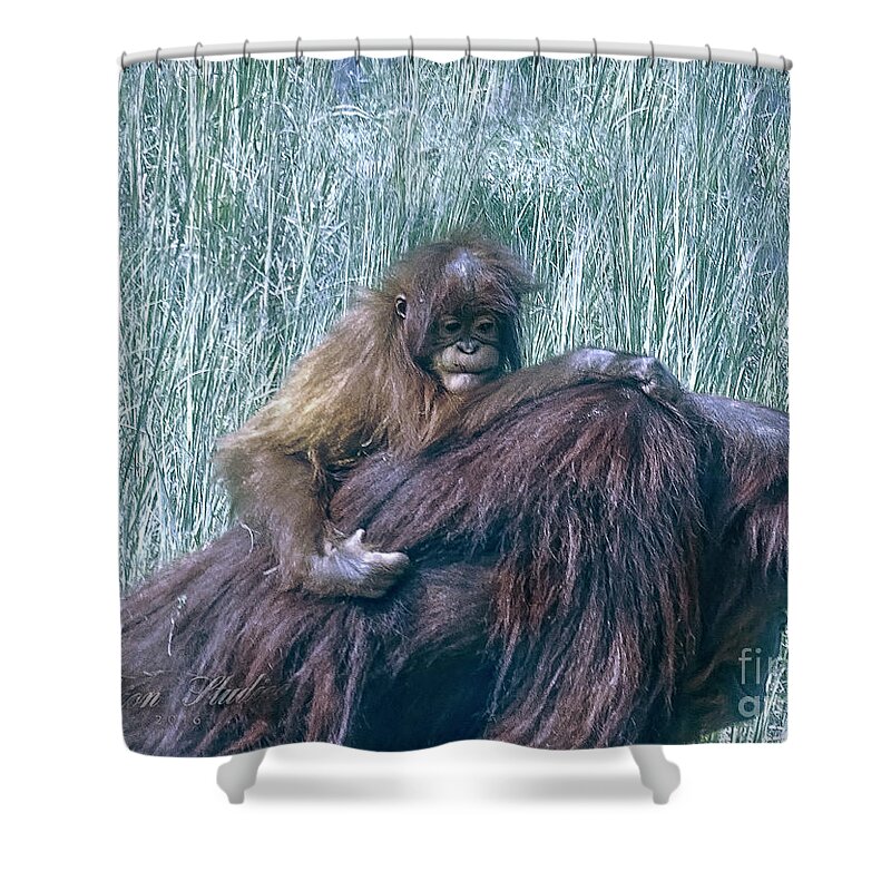 Photoshop Shower Curtain featuring the photograph Baby by Melissa Messick