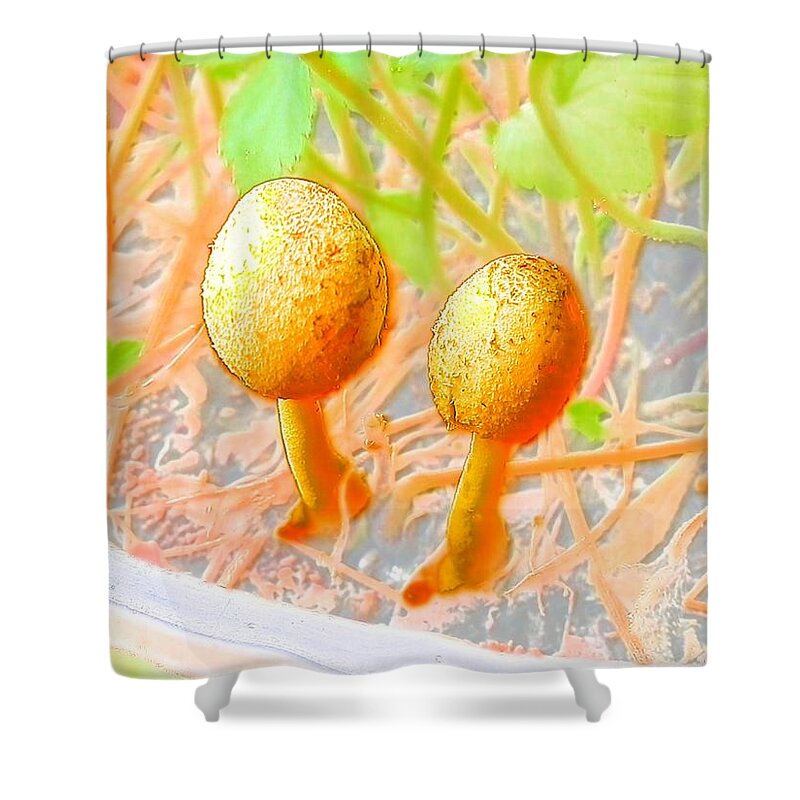 #golden Shower Curtain featuring the photograph Baby Mushrooms in Watercolor by Belinda Lee