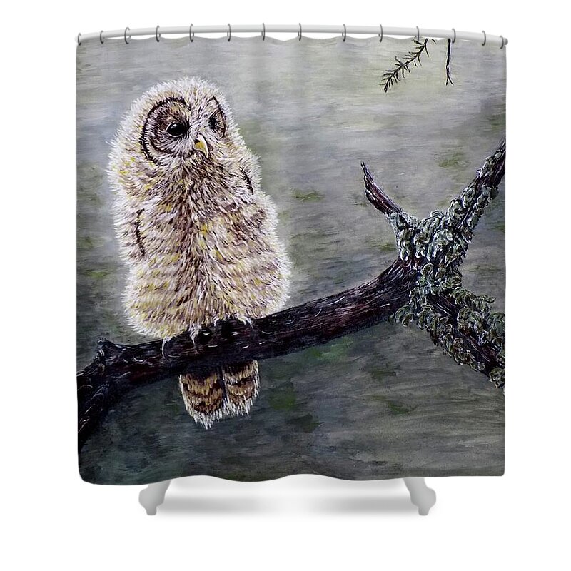 Owl Shower Curtain featuring the painting Baby Owl by Judy Kirouac