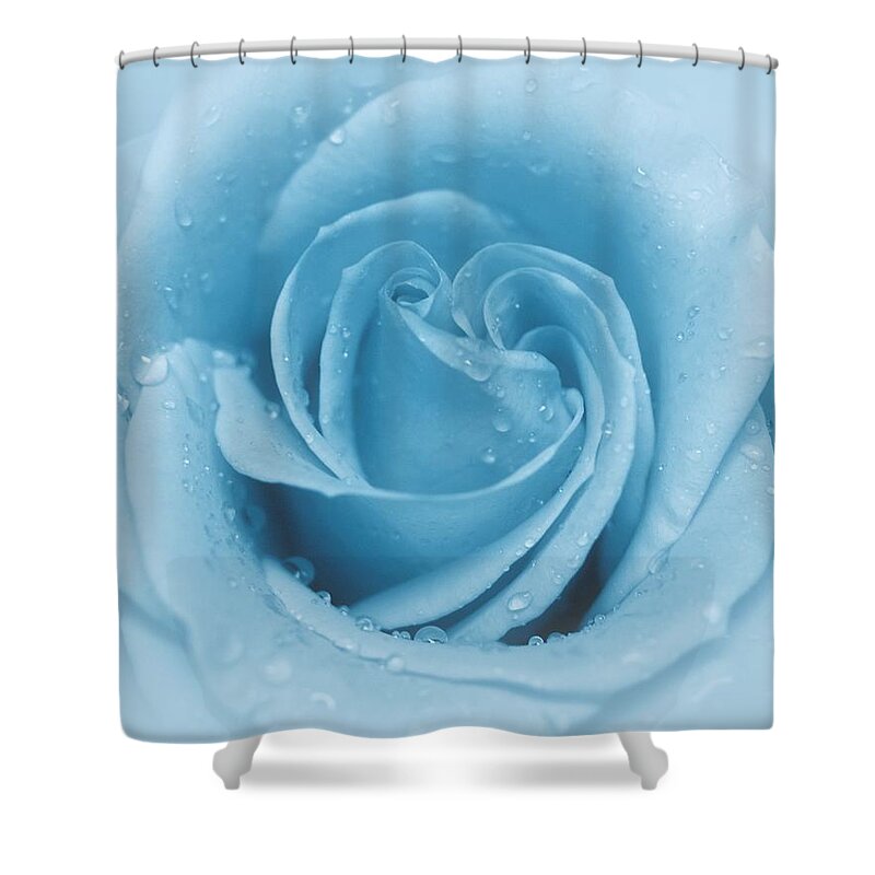 Rose Shower Curtain featuring the photograph Baby Soft - Blue by Angie Tirado