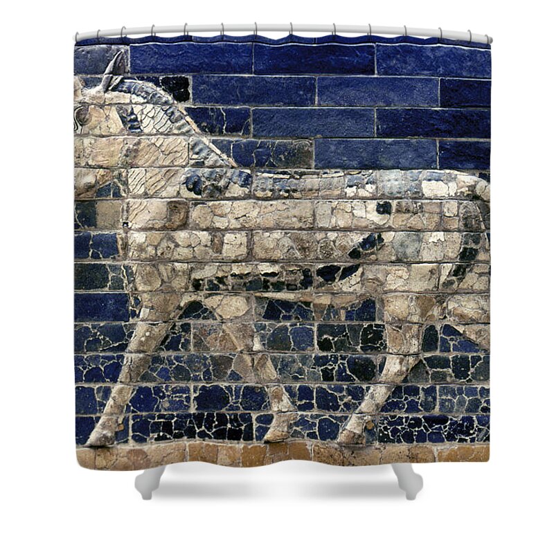 600 B.c Shower Curtain featuring the photograph Babylon: Enamel Brick Bull by Granger