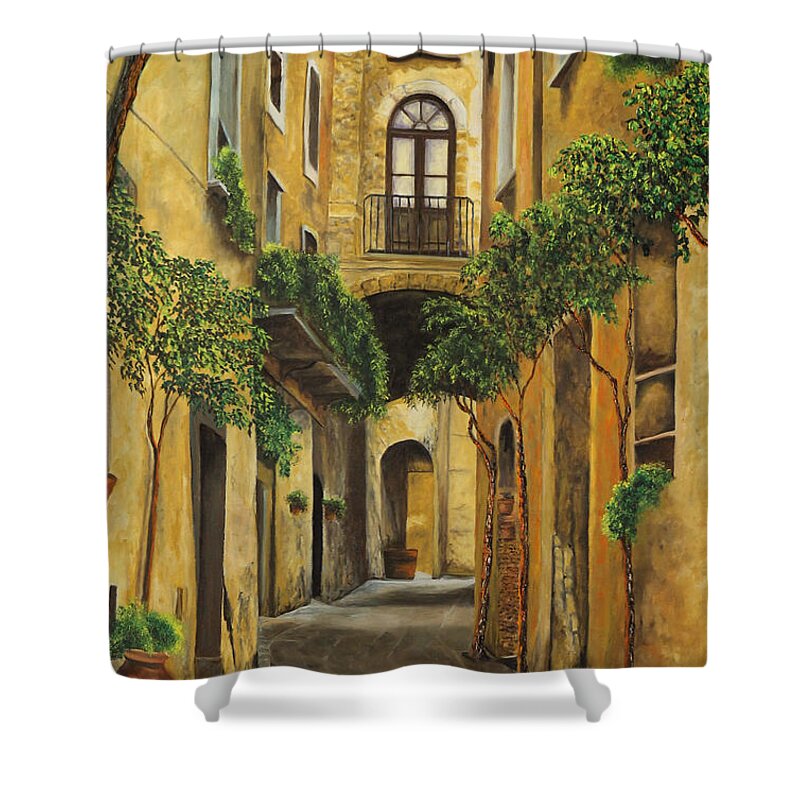 Italy Paintings Shower Curtain featuring the painting Back Street in Italy by Charlotte Blanchard