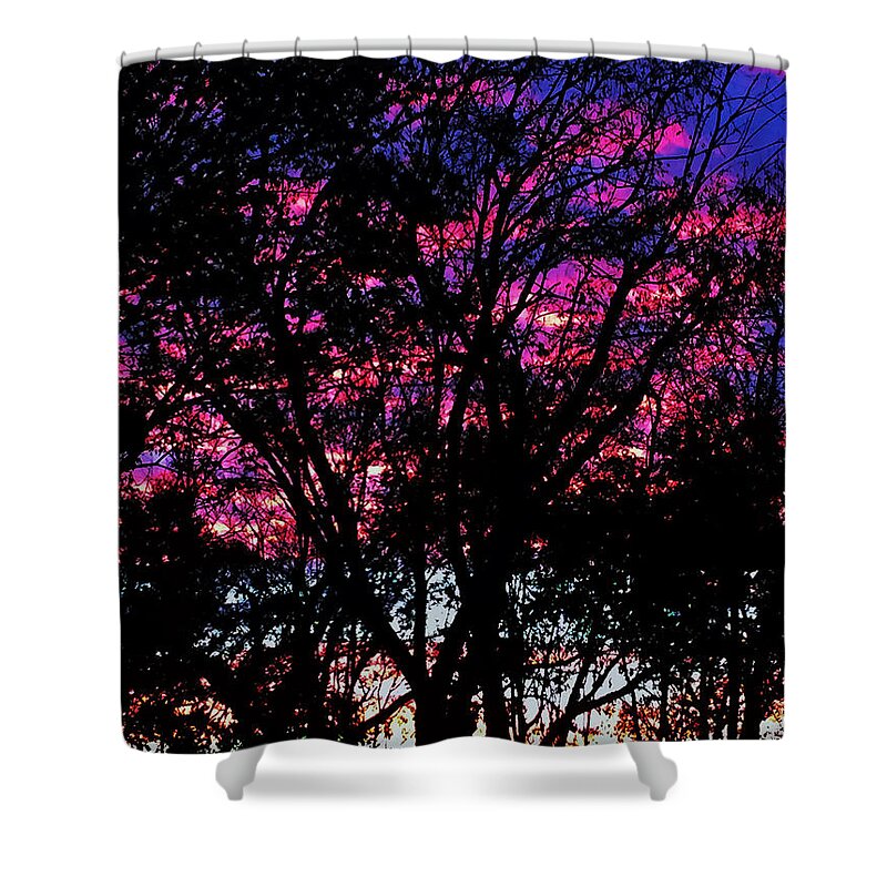 Sunset Shower Curtain featuring the photograph Back Yard Sunset by Ruben Carrillo