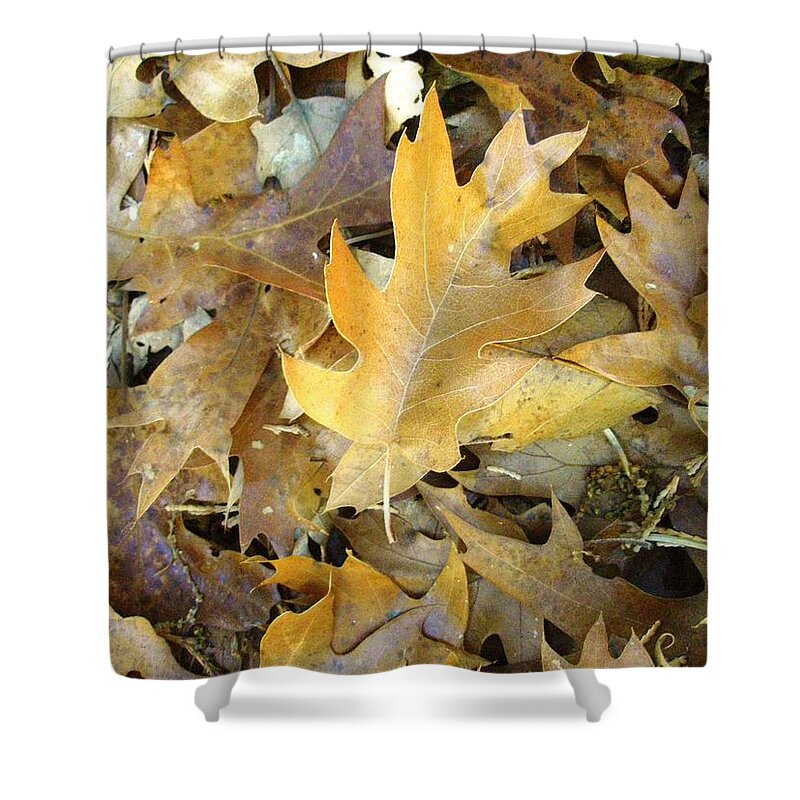 Leaves Shower Curtain featuring the photograph Background 5 by Kevin B Bohner