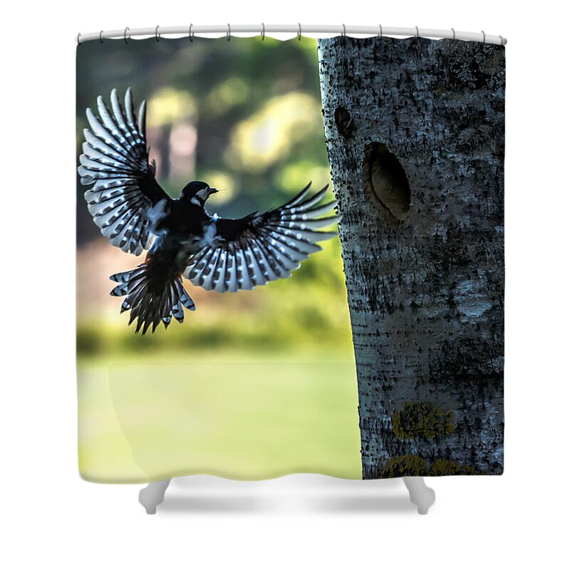 Backlighting Shower Curtain featuring the photograph Backlighting by Torbjorn Swenelius