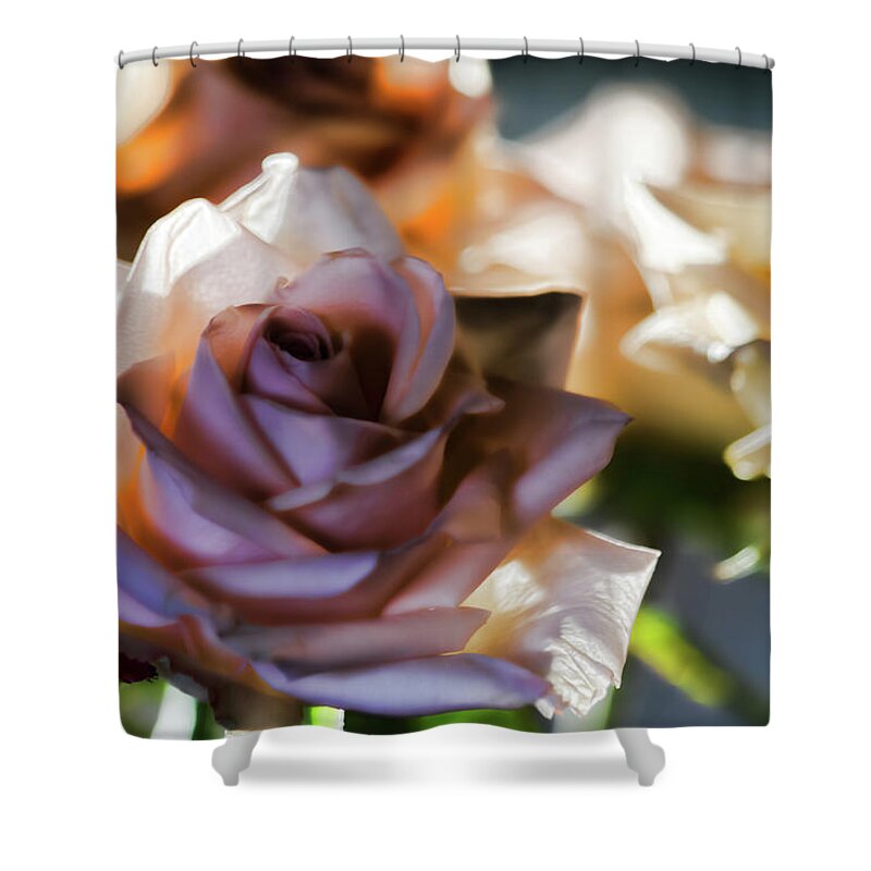 Flower Shower Curtain featuring the photograph Backlit Bouquet by Alana Thrower