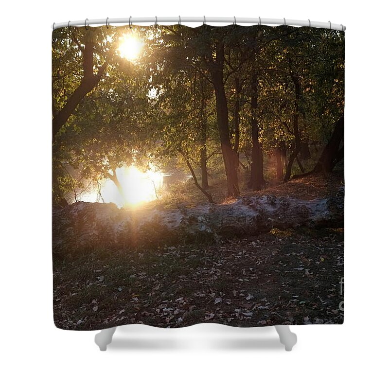 Forest Shower Curtain featuring the photograph Backlit Trees by Dariusz Gudowicz