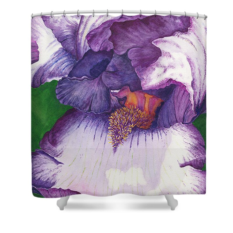 Iris Shower Curtain featuring the painting Backyard Beauty by Lori Taylor