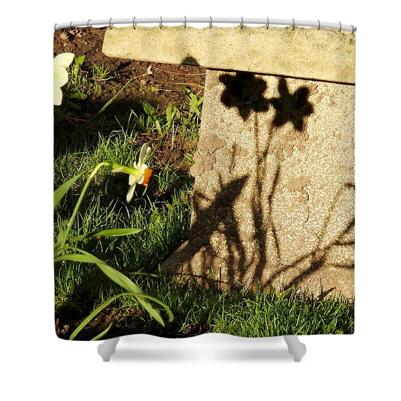 Shadows Shower Curtain featuring the photograph Backyard Bench by Betty-Anne McDonald