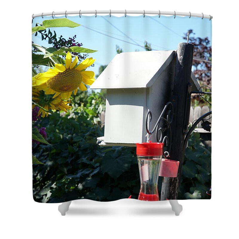Sunflower Shower Curtain featuring the photograph Backyard Garden by Stephen Daddona