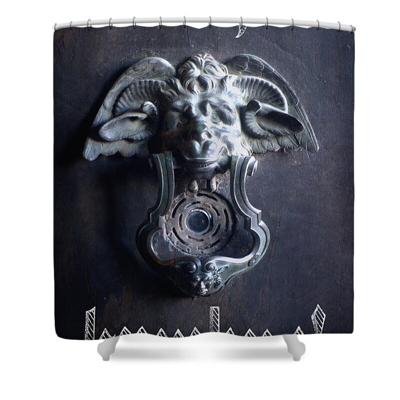 Scrooge Shower Curtain featuring the photograph Bah Humbug Griffin Door Knocker by Suzanne Powers