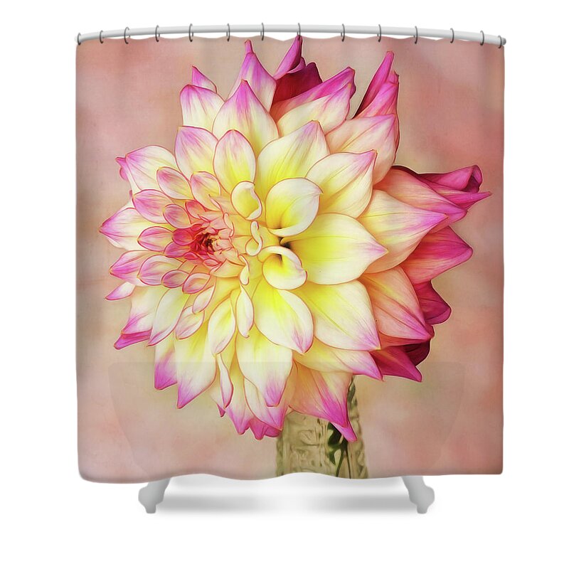 Dahlia Shower Curtain featuring the photograph Bahama Mama Dahlia Square by Mary Jo Allen