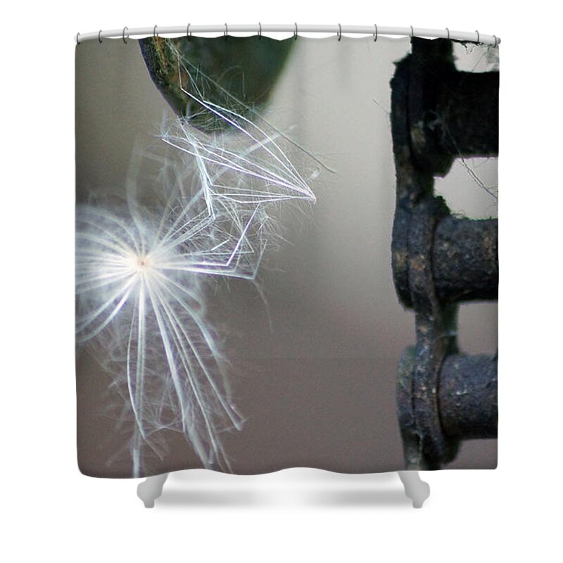 Feather Shower Curtain featuring the photograph Balance, Feather and iron chain in the wind by Eva-Maria Di Bella