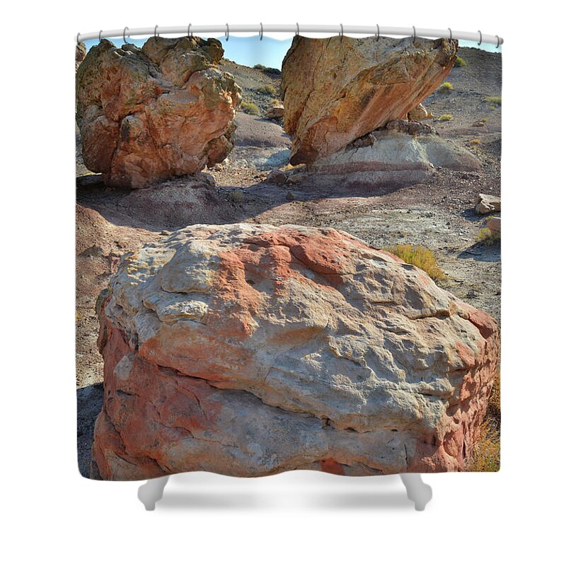 Grand Junction Shower Curtain featuring the photograph Balanced Boulders in Bentonite Site by Ray Mathis