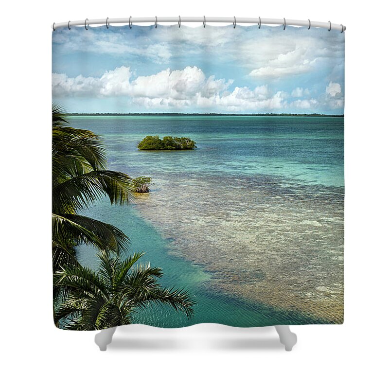Landscape Shower Curtain featuring the photograph Balcony View by Kathi Mirto